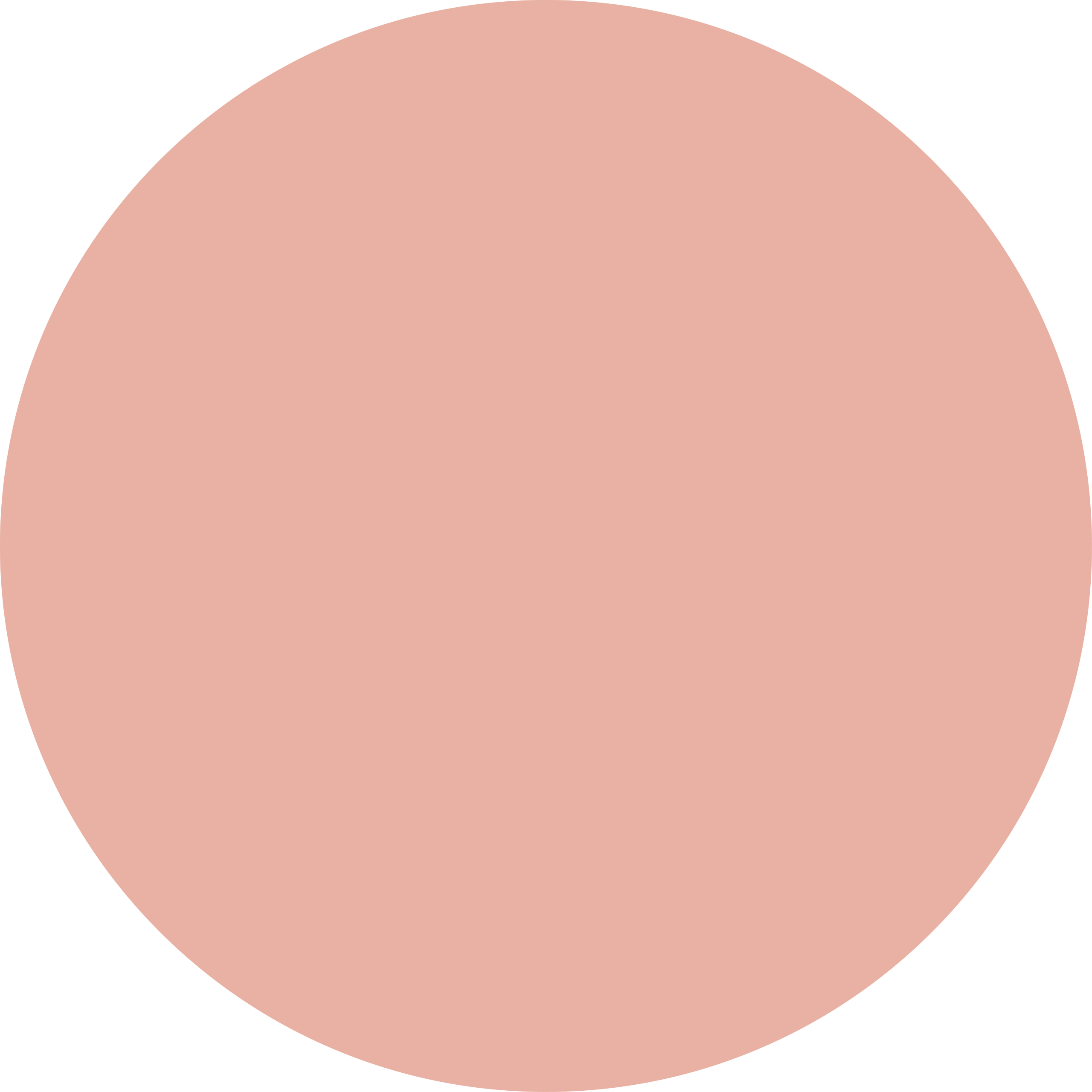 Н411